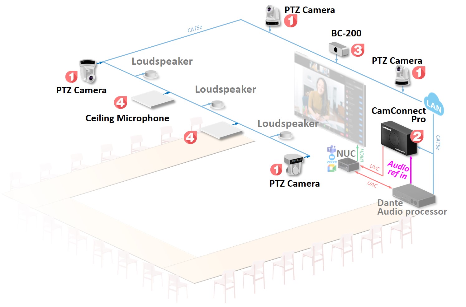 Dual Ceiling Microphones